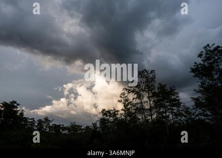 A summer storm at sunset turns clouds dark color, Everglades National Park, Florida, USA Stock Photo