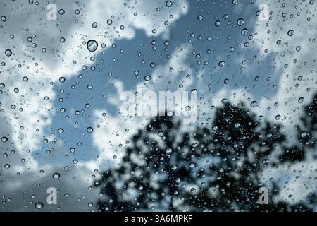 Raindrops collect on automobile windshield during rainy day in Everglades National Park, Everglades, Florida Stock Photo