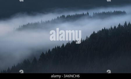 Landscape photography of the hills and the forest in the Eifel national Park cover in dense fog, blue-scale, dark mood, 16:9 Stock Photo