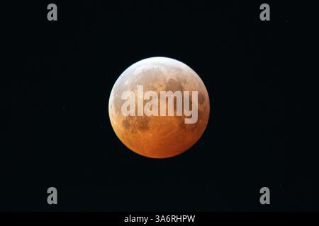 Total lunar eclipse at totality on 14th March 2025. A total lunar eclipse occurs when the Earth moves between the Sun and the Moon. At totality, the light from the Moon (sunlight reflected from the Moon after passing through the Earth's atmosphere) turns orange due to shorter wavelengths, such as blue light, being scattered more in Earth's atmosphere than longer wavelengths, such as red light. Photographed from Glenn Research Center, Neil Armstrong Test Facility, Sandusky, Ohio, USA. Stock Photo