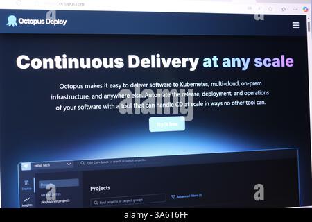 Continuous delivery platform interface for software deployment and management. Stock Photo