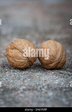 Dry walnuts on cement background Stock Photo