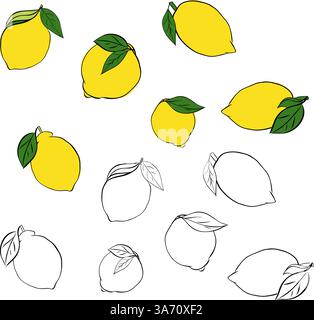 Lemon whole with leaves set collection. Tropical set with yellow and black and white lemons. Vector illustration isolated on white background For logo Stock Vector