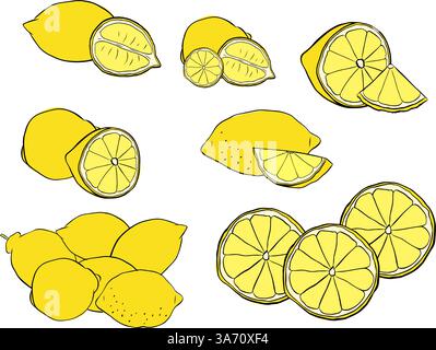 Lemons composition yellow colored graphic line ink set. Vector illustration isolated on transparent background. for menu and package designs. Stock Vector