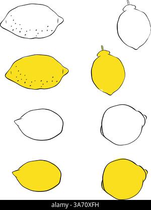 Fresh yellow whole lemon set. Graphic line ink Organic fruits for lemonade juice or vitamin C healthy food. Vector illustration isolated on white back Stock Vector