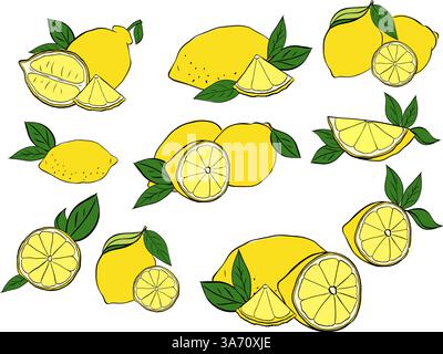 Lemon with leaves composition set. Vector graphic line ink illustration in transparent background. art for food design, recipe, cook book, packages, m Stock Vector