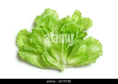 Bunch of green lettuce isolated on white background, design element. Stock Photo