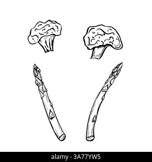 Fresh cauliflower bunch and broccoli florets vegetable, asparagus stem set vector illustration painted by black inks. Fresh chopped vegetable Stock Vector