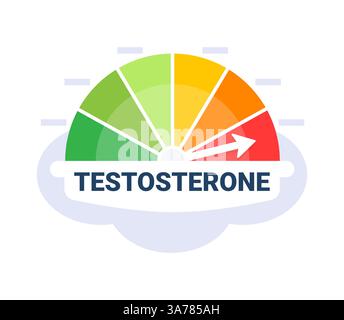 Colorful gauge showing testosterone level with arrow pointing to high on a cloudy background Stock Vector