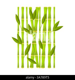 Green Bamboo with Leave. Vector illustration Stock Vector