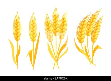 Bunch of wheat ears. Grains of cereals. Cereals harvest, agriculture Stock Vector