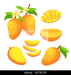 Mango set, fresh exotic fruit. Whole and pieces. Mango Slice Stock Vector