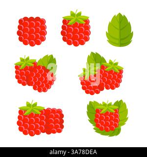 Raspberry Whole and slice. Sweet fruit. Raspberries. Stock Vector