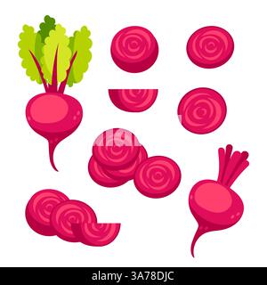 Beetroots set. Fresh red beetroot slices and leaves on white background Stock Vector