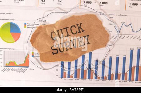Quick Survey text written on a notebook with pencils. Stock Photo