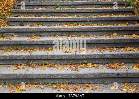 Looking up at grey stone steps covered with fallen deciduous tree leaves in autumn, Quebec, Canada Stock Photo