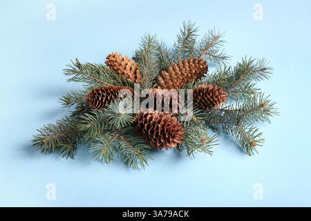Fir branches with pine cones on blue background Stock Photo