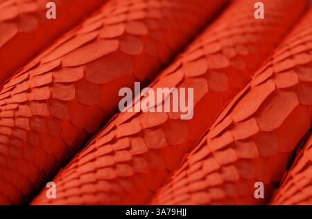 scaly texture of leather background, red luxury python skin Stock Photo