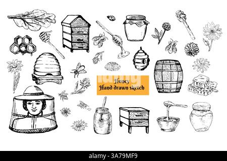 Vector ink drawing honey jar, pot, hiver, bee, barrel and chamomile flowers, clovers. Hand drawn honey comb and other design elements set. Sketch of beehive and dripper spoon. Stock Vector