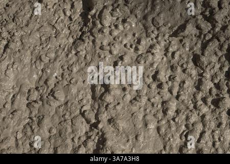 Rough cement texture background. Material wet Concrete mix stone for mixture concreting of site for car, blind area. Floor concrete. Background Stock Photo