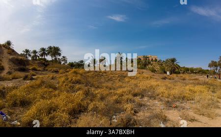 A dry, grassy landscape with scattered palm trees under a clear blue sky. In the background, a large building sits atop a hill, surrounded by more pal Stock Photo
