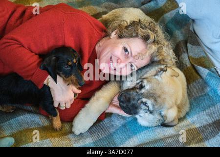 Happy senior woman cuddling with her two puppies, a dachshund and a caucasian shepherd, while lying on a cozy blanket Stock Photo