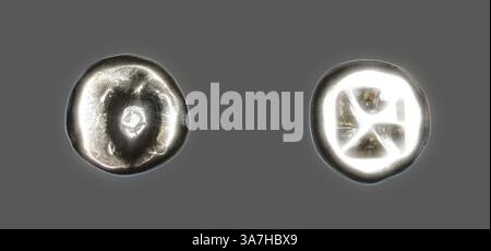 Close-up view of two unique circular objects, each displaying distinct patterns and textures. The object on the left features a spiraled design, while the one on the right showcases a geometric pattern with intersecting lines., Classic art with a modern twist reimagined by Artotop, Stater (Coin) Depicting a Sea Turtle, about 650/600 BC, Greek, Greece, Silver, Diam. 2 cm, 12.05 g Stock Photo