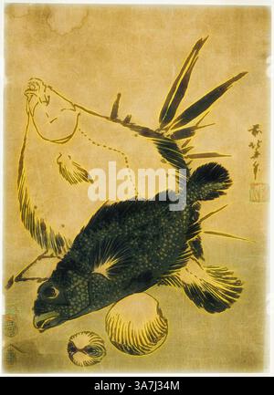 A still life composition featuring a dark fish and a lighter fish, arranged alongside two round objects. The background is textured, enhancing the contrast between the subjects and creating a sense of depth. Traditional artistic elements are evident in the detailing and style., Classic art with a modern twist reimagined by Artotop, Flatfish, scorpion fish, and shells, from an untitled series of chuban prints, c. 1831, Katsushika Hokusai ��� ����, Japanese, 1760-1849, Japan, Color woodblock print, chuban Stock Photo
