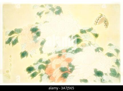 Peonies and Butterfly, from an untitled series of large