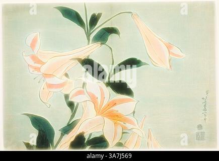Lilies, from an untitled series of Large Flowers, c. 1833/34