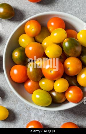 Organic Colorful Heirloom Cherry Tomatoes in a Bowl to Cook Stock Photo
