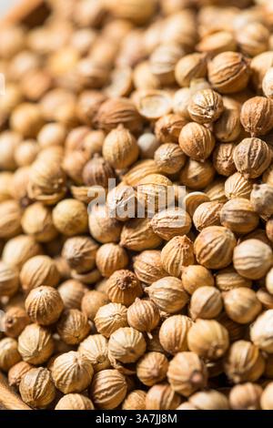 Dry Organic Indian Coriander Seeds in a Bowl for Cooking Stock Photo