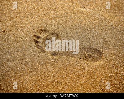 Footprint in the sand on the beach, closeup of photo Stock Photo