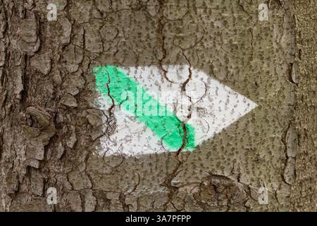 A tree trunk with a green arrow painted on it. The arrow is pointing to the right. The tree trunk is rough and has a lot of texture Stock Photo