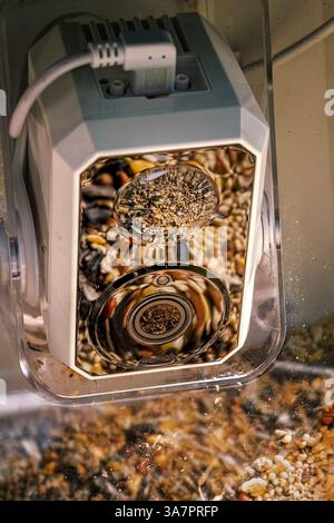 Bird feeder camera close-up. Designed for bird watching of feeder activities. This one is protected in a casing and charged by solar panels. Stock Photo