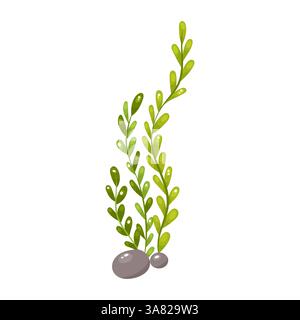 Cartoon style seaweed growing from pebbles, perfect for aquatic designs Stock Vector