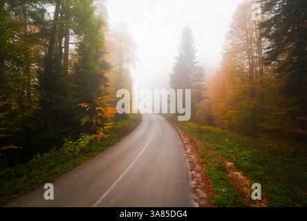 Asphalt mountain road in foggy forest in overcast rainy day Stock Photo ...
