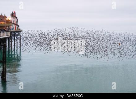 Starling murmuration at sunset next to the Brighton Palace Pier, City of Brighton and Hove, East Sussex, England, United Kingdom Stock Photo