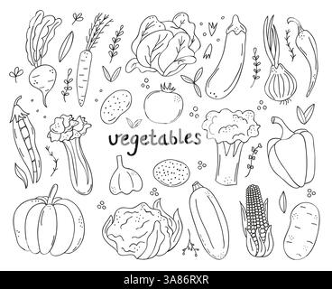 hand-drawn doodle set of fresh, organic farm vegetables including tomatoes, potatoes, carrots, eggplants, pumpkins, onions, and garlic. These eco Stock Vector
