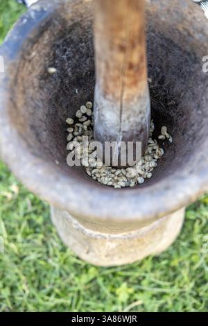 Pounding coffee beans in Ngiresi village, Tanzania Stock Photo
