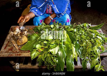 Healer with medicinal herbs in Ngiresi village, Tanzania Stock Photo