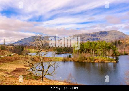Scenic view to Tarn Hows and fells in English Lake District National Park. Coniston, Cumbria, England UK, Britain Stock Photo