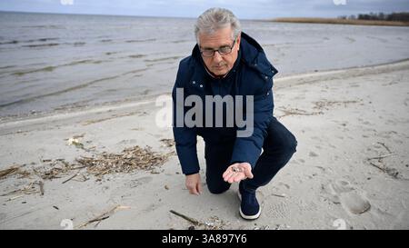 PRODUCTION - 26 March 2025, Mecklenburg-Western Pomerania, Mönkebude: Rudi Wergin shows his collected snail shells on the beach. Rudi Wergin creates extraordinary pictures from thousands of snail shells. A hobby that is probably unique. Photo: Philip Dulian/dpa Stock Photo