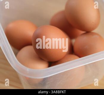 Brown hard boiled eggs in a plastic container. Close up. Stock Photo