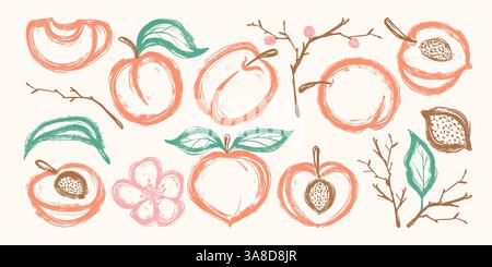 Set of Hand Drawn Delicious Peaches. Colorful grunge abstract peach collection with bold outline and texture. Clipart juicy food in doodle style  Stock Vector