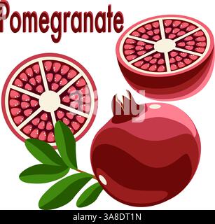 Pomegranate fruit whole and sliced with leaves vector illustration with text Stock Vector