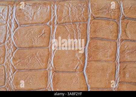 Close-up of a textured leather surface with a crocodile pattern, perfect for backgrounds, fashion design, and luxury product presentations. Stock Photo