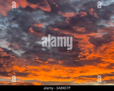 Fiery sunset. Incredible colors of nature. Stock Photo