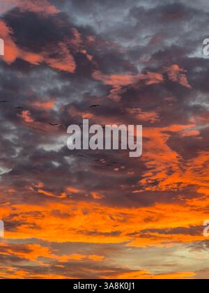 Fiery sunset. Incredible colors of nature. Stock Photo