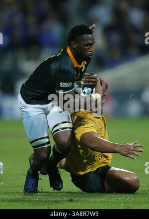 South Africa's Siya Kolisi during the Autumn International at The ...